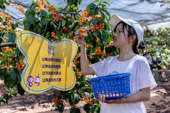 昭通公安普法宣傳走進(jìn)“小寨櫻桃節(jié)”
