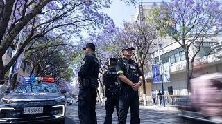 花開正好，云南警方邀您共賞“夢幻花街”……